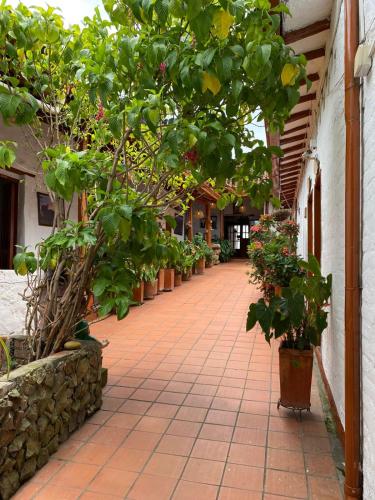 Zahrada ubytování Hotel Casa Posada Don Chepe