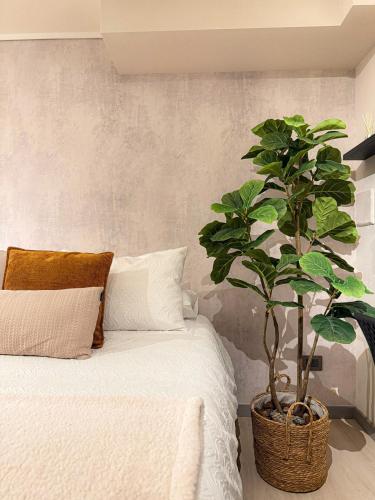 a plant in a basket sitting next to a bed at Hermoso Apartamento a pasos de Santa Lucía in El Cerrillo