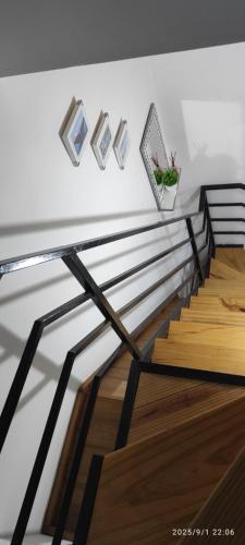 a stairway with a plant in a pot on the wall at Ezeiza 3 departamento privado a 15 minutos del aeropuerto hasta 7 personas OPCIONAL TRANFER DESDE Y HACIA EL AEROPUERTO DE EZEIZA LAS 24 HORAS pet friendly conexion con Aeroparque in Ezeiza