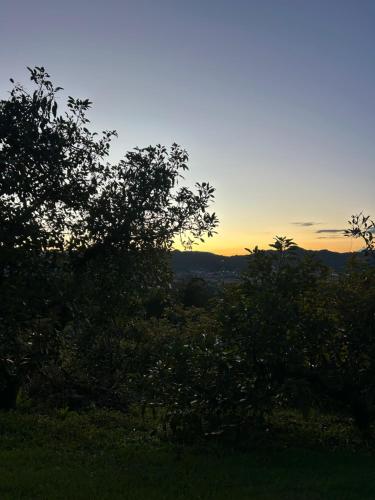 a sunset over a field with trees in the foreground at Cabaña entre los árboles del bosque de Efímero la Ceja in La Ceja