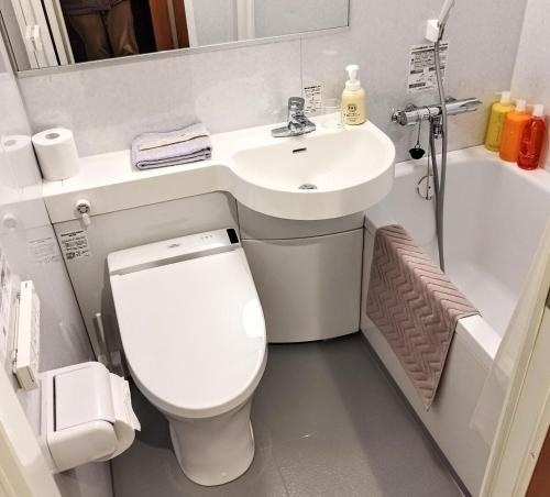 a small bathroom with a toilet and a sink at Vacation House YORAKURA よら蔵 in Komoro