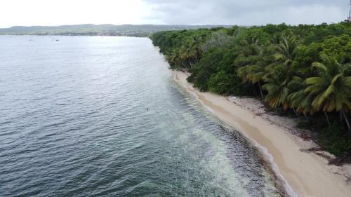 an aerial view of a beach with palm trees at Le Kanmpo in Trois-Îlets