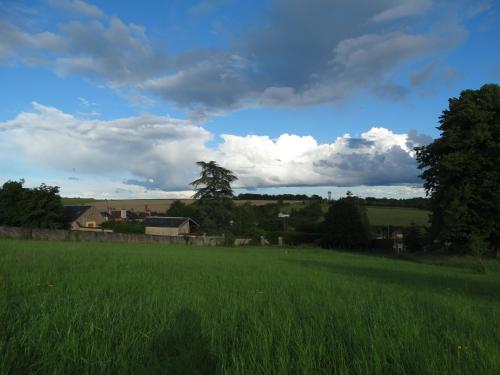 a field of tall green grass with a cloudy sky at B&B Girolles les Forges in Girolles