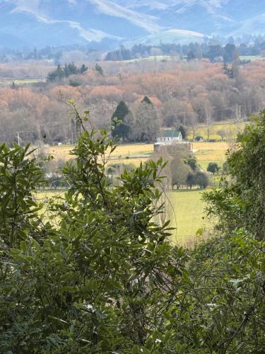 a view of a field with trees in the foreground at Bellbird Hideaway in Pleasant Valley
