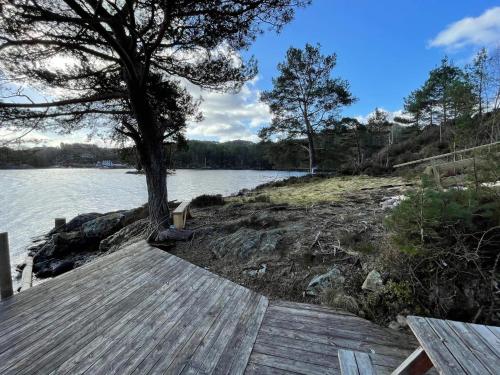 a wooden dock with a tree on the side of a lake at 6 person holiday home in Rubbestadneset in Rubbestadneset