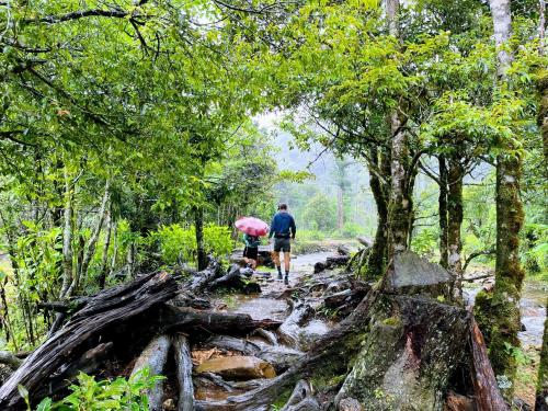 two people walking down a trail with an umbrella at The cosy nest of happiness! in Lao Cai