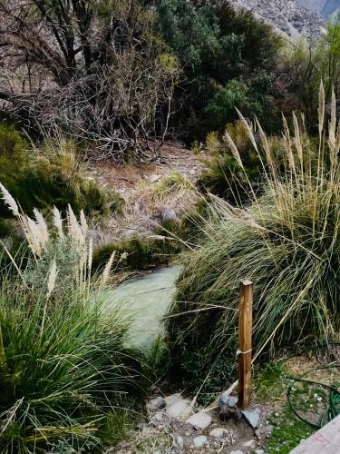 un petit étang au milieu d'un champ d'herbe dans l'établissement Cabañas by Taos, à Rivadavia