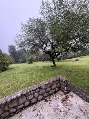 a stone wall with a tree in a field at Casa de campo La Apacheta in Lules