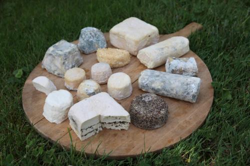 a plate of cheese and rocks on the grass at B&B Girolles les Forges in Girolles