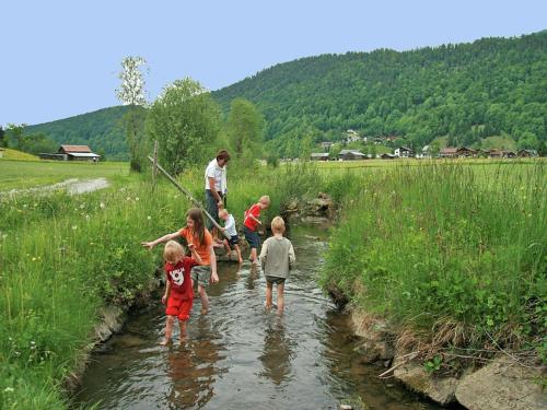 a group of children playing in a stream at Chalet in Sibratsgfäll near Ski Slopes in Sibratsgfäll