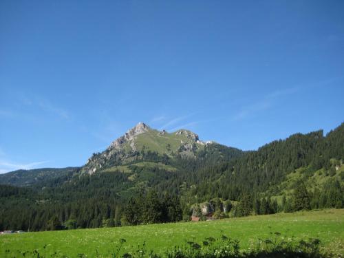 a mountain in the middle of a green field at Haus Bergwelt in Grän