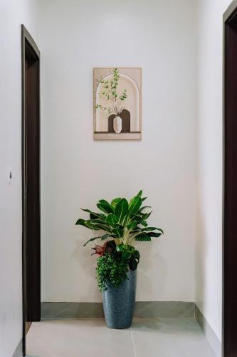 a potted plant sitting on the floor in a room at Catba SunWoo Homestay & Hotel in Cat Ba