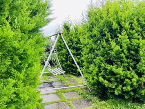 a swing in the middle of some trees at Away From Home - 10 - Rooms In Ooty, Home Stay in Ooty in Ooty