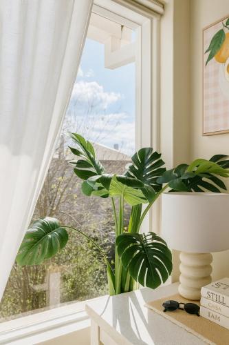 a window with a table and plants in a room at Stylish Studio at heart of St Kilda in Melbourne