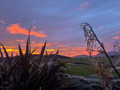 a field of grass with a sunset in the background at Harbour Hideaway in Dunedin
