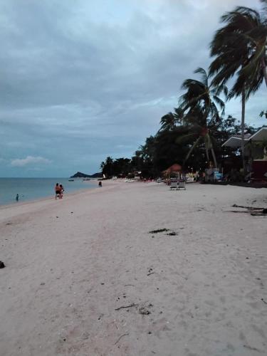 a sandy beach with palm trees and the ocean at Green Salad Hostel in Ban Thong Phlu