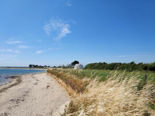 a sandy beach with tall grass next to a body of water at Ti nomad in Saint-Nolff