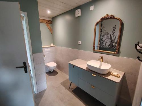 a bathroom with a sink and a toilet at Le bain nordique du lynx boréal in Entre-Deux-Monts