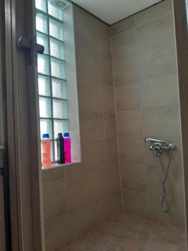 a bathroom with a shower with a window at Courtyard Cottage in Athens