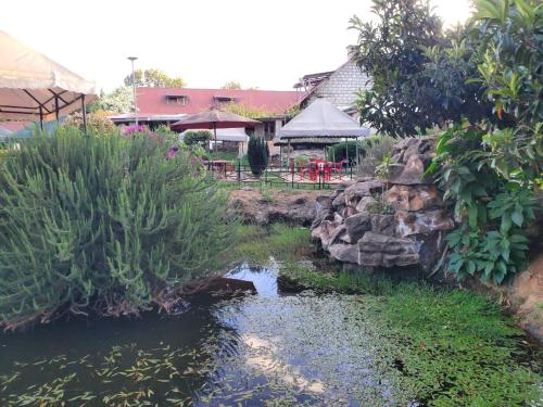 Příroda nedaleko bed and breakfast