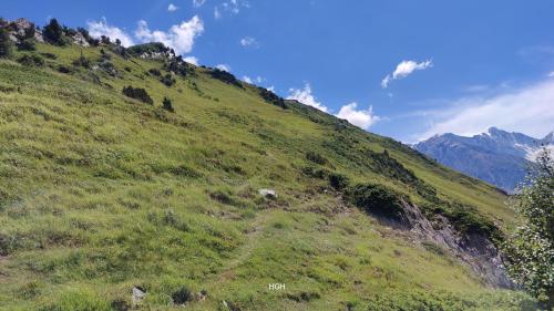 a green grassy hill with mountains in the background at Rakaposhi Base Camp Site in Minapin