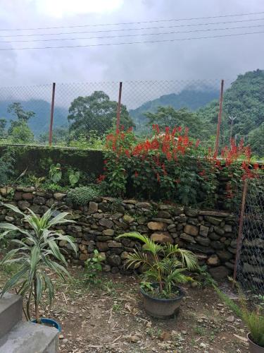a stone wall with some plants and a fence at Bagmara Homestay, Tea Garden View Near Kurseong in Darjeeling