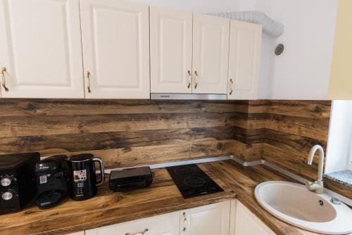 Køkken eller tekøkken på Luxury Radox Brasov 94