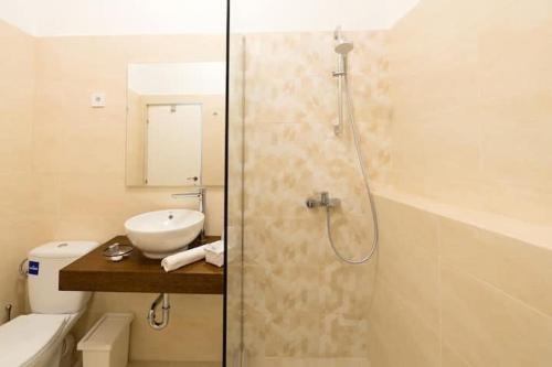 a bathroom with a shower with a sink and a toilet at Centru Vechi Brasov in Braşov