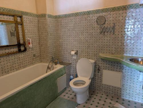 a bathroom with a toilet and a tub and a sink at Aghata Palms Riad in Essaouira