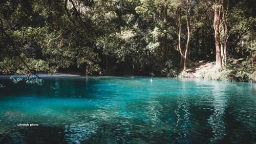 a blue pool of water with trees in the background at The Nest in Bellingen