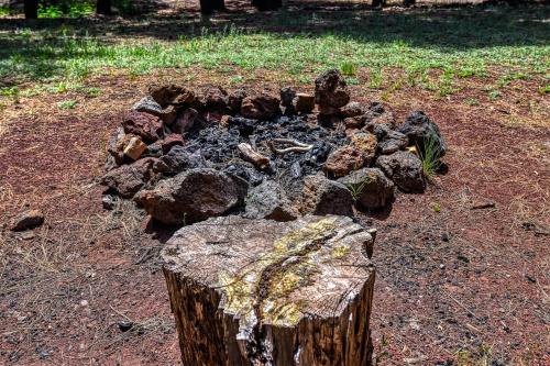 Gambar di galeri bagi Rustic Adventure w Historic Log Cabin Forest Views 20 minutes from Flagstaff Now with Wi-Fi di Parks