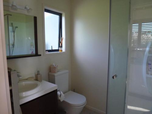 a bathroom with a toilet and a sink and a mirror at Oystercatcher Bay Boathouse in Coromandel Town