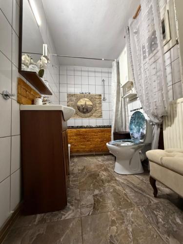 un bagno con un water e un lavandino di Cabana GRAD a Săliştea de Sus