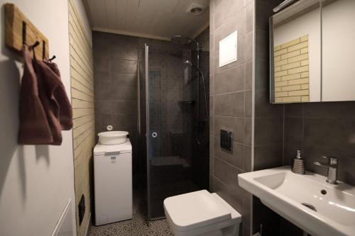 a bathroom with a shower and a toilet and a sink at 2 room apartment in Sikana Manor 