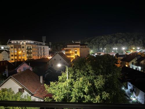 a city at night with buildings and street lights at Apartman Mojsilović in Ub