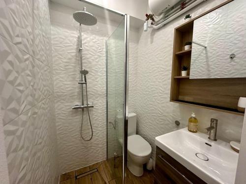 a bathroom with a shower and a toilet and a sink at Studette tout équipée centre ville de Nice in Nice