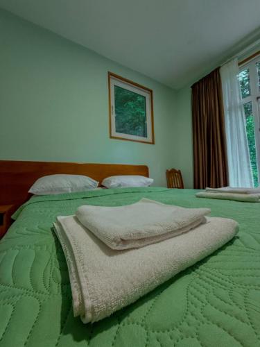 Postel nebo postele na pokoji v ubytování Nunisi Forest Hotel & SPA