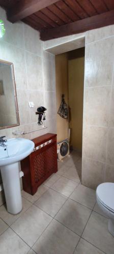 un bagno con lavandino, WC e specchio di Casa rural El Corralón a Hinojal