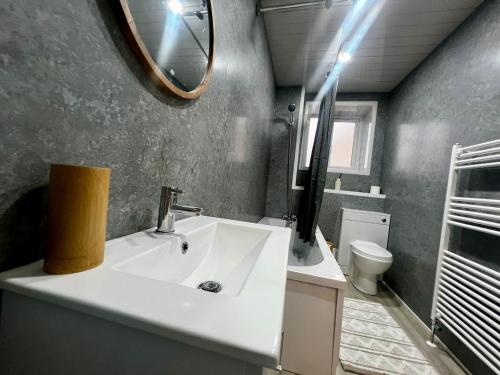 a bathroom with a sink and a mirror and a toilet at Modern 1 Bedroom Apartment - The Den in Plymouth