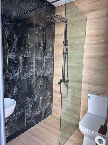 a bathroom with a glass shower and a toilet at Diamond LunaMi in Sevan