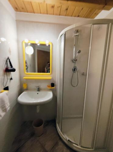 een badkamer met een wastafel, een douche en een spiegel bij PiZABELA MANSARDE in Livigno