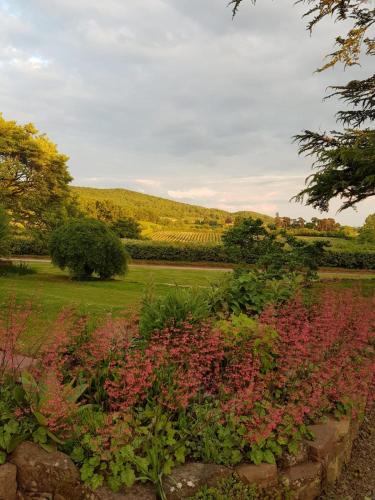 a garden with pink flowers in the foreground at Pet Friendly Manor House Hop Kiln in Ledbury