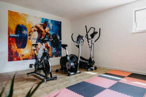 Fitness centrum a/nebo fitness zařízení v ubytování Burgenland Hideaway
