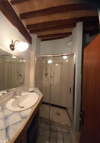 a bathroom with a sink and a shower at La casetta sull'arco in Sarteano