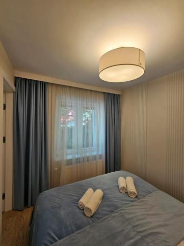 a bedroom with a bed with two pillows on it at Sileo Apart No.85 in Ustka