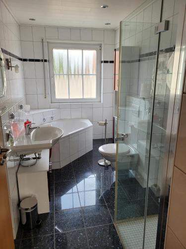 a bathroom with a sink and a toilet and a shower at Carpe Diem Wellness Ferienwohnung in Illingen