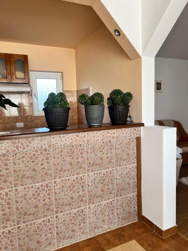 three potted plants sitting on a counter in a kitchen at Cozy, country house in Vizantea-Mînăstirească