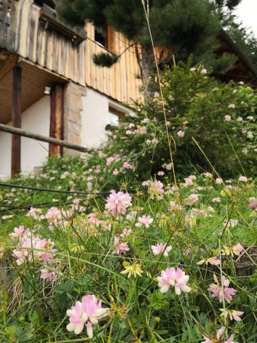 a bunch of pink flowers in front of a house at Almhütte Enzian in Greifenburg