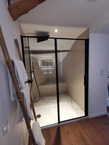 a bathroom with a glass door in a room at Domaine de Pourrouquet - Demeure de charme et Gîte in Vic-Fezensac