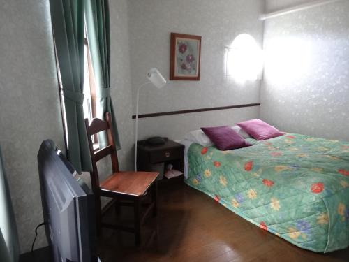 a bedroom with a bed and a chair and a tv at Gasthof Arutany in Nasu